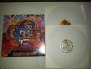 Long Beach Dub All Stars - Right Back DLP - Skunk Records Rare Ex- Sublime