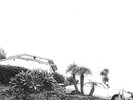 Timber Timbre - Hot Dreams [Vinyl New]