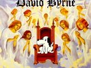 DAVID BYRNE 
