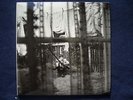 LP: PAUL MCCARTNEY CHAOS & CREATION.. TOP neuwertig VINYL SCHALLPLATTE BEATLES