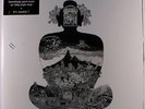 FLOWER TRAVELIN' BAND: Satori LP (UK, 180 gram reissue) Rock & Pop