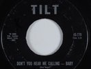 Rocker/Doo Wop  45 TREND-ELS Don't You Hear Me Calling-Baby TILT HEAR