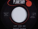 Teen Psych 45 DAVID GATES Let You Go PLANETARY HEAR