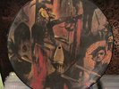 SLAYER - Reign in Blood  PICTURE LP  VG+  Die einzige bei ebay