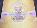 Devendra Banhart- What Will We Be (vinyl)