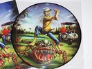 Iron Maiden 'The Evil In Florida' FC Rel Pic LP Picture Disc Vinyl w Cover NM/NM