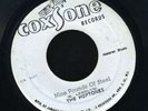 1201 HEPTONES-NINE POUND OF STEEL-SKATALITES-STUFFY-COXSONE-REGGAE 45 7