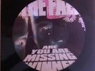 The Fall - Are You Are Missing Winner Picture Disc.