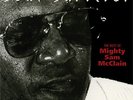 AUDIOQUEST | Mighty Sam McClain - Soul Survivor - The Best Of ... SACD