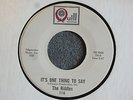 Riddles It's One Thing To Say / Sweets For My Sweet Quill 116 M 60's Garage Rock