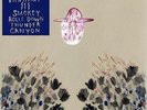 DEVENDRA BANHART Smokey Rolls Down Thunder Canyon Deluxe Gatefold Vinyl 2LP Set