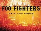 Foo Fighters-Skin and Bones Vinyl / 12