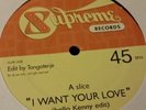 Tangoterje ?– I Want Your Love / Sweet Dynamite rare disco 12
