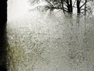 BON IVER For Emma, Forever Ago Vinyl LP NEW & SEALED