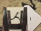 Mos Def The Ecstatic Vinyl