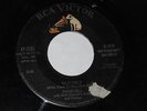 David Hill 45 RCA 7181 Wild Child & Big Guitar  50s rocker rockabilly