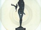PICTURE LP Damned Thanks For The Night RARE UNCUT PIC DISC MISSPRESS Damned