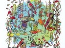 JOHN ZORN - DREAMERS: GENTLE SIDE NEW VINYL