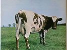 Atom Heart Mother  by Pink Floyd