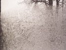 Bon Iver NEW SEALED VINYL LP For Emma Forever Ago *FREE FAST 1ST UK POST *WORLD