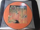 LP SLAYER HELL AWAITS PICTURE DISC VINYL 1985 NUMBERED 1869 LIMITED EDITION RARE