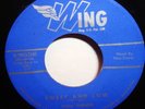 SOUL 45 - TITUS TURNER - SWEET AND LOW / BIG JOHN