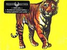 SPEED, GLUE & SHINKI - Speed, Glue & Shinki - 2 LP Phoenix