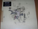Frightened Rabbit 