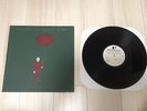 Hidden In Plain View / Life In Dreaming test press LP new found glory mxpx