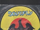 SOULFLY - primitive LP picture disc