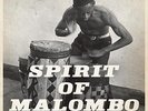 Spirit of Malombo by Next Stop Soweto Vinyl 2LP Record