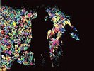ECHO AND THE BUNNYMEN Live In London 2x Vinyl LP 2014 NEW & SEALED