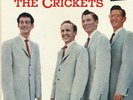 RARE ROCKABILLY  BUDDY HOLLY & THE CRICKETS 
