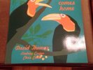 David Thomas & His Legs - Winter Comes Home LP Pere Ubu Indie Alternative Punk