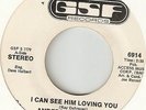 Northern Soul - Anderson Brothers - I Can See Him Loving You - GSF
