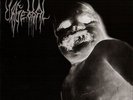Urgehal - Atomkinder LP , lim. 400 Black Vinyl  ## free postage
