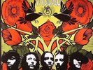 INCUBUS - A Crow Left Of The Murder - 180 gram vinyl gatefold 2xLP