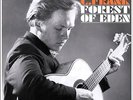 Forest Of Eden - Jackson C. Frank (2013, Vinyl NUEVO)