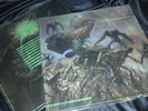 ARTIFICIAL BRAIN Labyrinth Constellation LP prog-death nocturnus indricothere