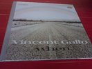 VINCENT GALLO WHEN FOLK DOWNTEMPO WARP RECORDS GATEFOLD BUFFALO 66 RARE NM LP