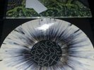 Circle takes the square - as the roots undo  lp oop screamo converge pg.99 isis