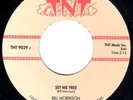 WILD TNT ROCKABILLY - BILL MORRISON - SET ME FREE - VERY RARE REPRO 45'