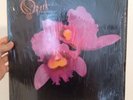 Opeth-Orchid/2XLP/Original Press/Meshuggah/Tool/King Crimson