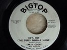 SARAH COOKE HEY HEY (THE SUNS GONNA SHINE)  DJ WHITE DEMO NORTHERN SOUL CLASSIC.