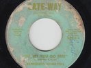 Funk 45 - Alphonso Hamilton - I'll Let You Go Free - Gate-Way - mp3