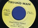 1109 DELROY WILSON-EVERYTHING RAISED-TRYING MAN-REGGAE 45 7