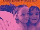 SMASHING PUMPKINS Siamese Dream Remastered 180G Double Vinyl LP NEW & SEALED