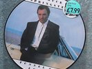 BRUCE SPRINGSTEEN - TUNNEL OF LOVE -PICTURE DISC - NM/MINT - Vinyl LP #
