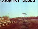 SONNY TERRY B. MAC GHEE   BACK COUNTRY BLUES    SAVOY  LP