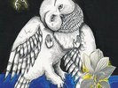Songs: Ohia - The Magnolia Electric Co (10th Anniversary Deluxe Edition) 3LP